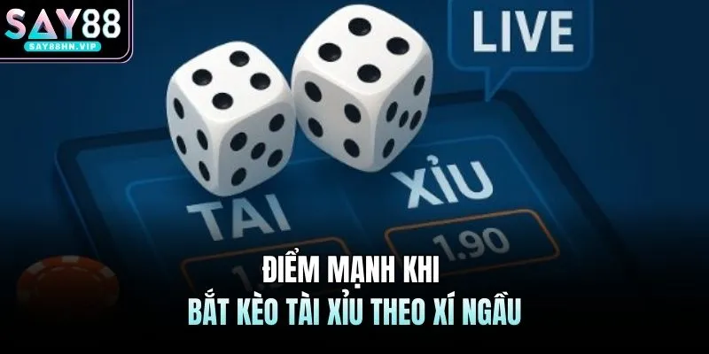 Bắt Kèo Tài Xỉu Theo Xí Ngầu SAY88 - Cơ Hội Thắng Lớn