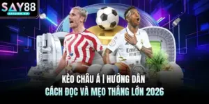 Thể Thao SAY88 - Tổng Hợp Các Trận Đấu Trực Tiếp 2026