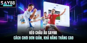 Thể Thao SAY88 - Tổng Hợp Các Trận Đấu Trực Tiếp 2026