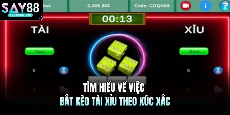 Bắt Kèo Tài Xỉu Theo Xí Ngầu SAY88 - Cơ Hội Thắng Lớn