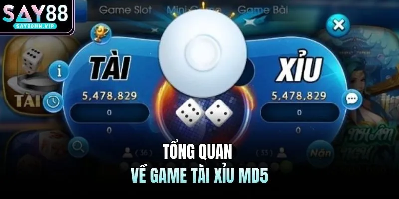 Tài Xỉu MD5 - Tăng Cơ Hội Làm Giàu Một Cách Nhanh Chóng
